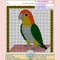 Caique