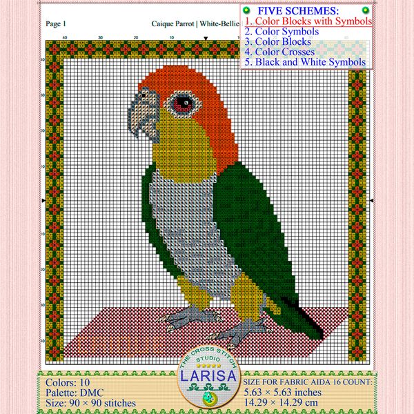 04-caique-parrot.jpg