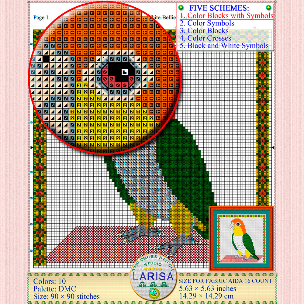Caique parrot