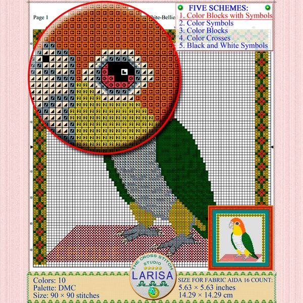 05-caique-parrot.jpg
