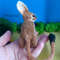 Crochet miniature realistic rodent jerboa (1).jpg