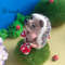 Crochet Hedgehog (4).jpg