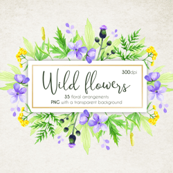 Wildﬂower Illustrations, Watercolor Floral Frames