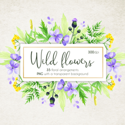 wildflower illustrations, watercolor floral frames