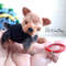 Crochet Yorkshire terrier, Yorkie puppy (9).jpg