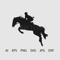 Rider on horse. Jumping. Equestrian sports