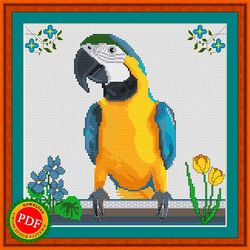 ara cross stitch pattern | macaw parrot