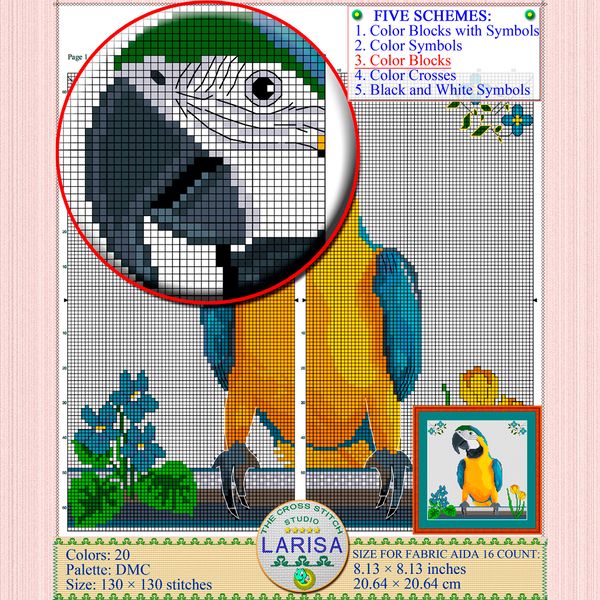 08-macaw.jpg