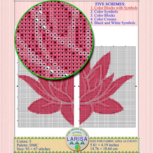 05-pink-lotus.jpg