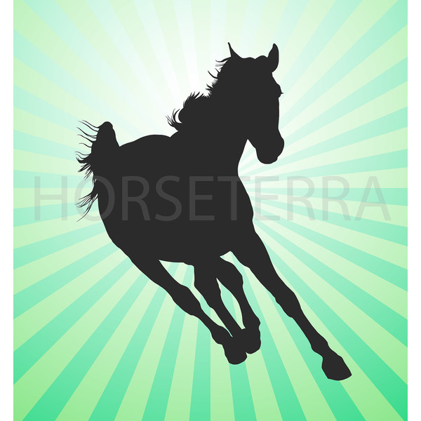 HORSE PR1.jpg