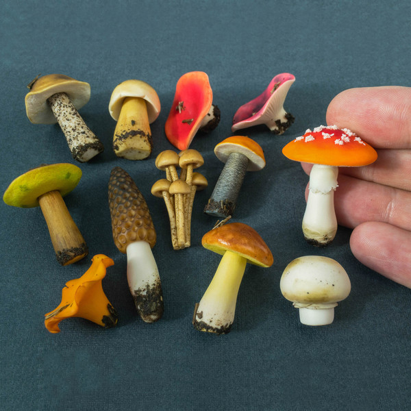 Miniature mushrooms handmade of polymer clay-.jpg