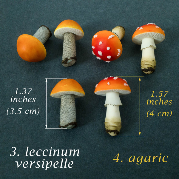 miniature mushroom.jpg