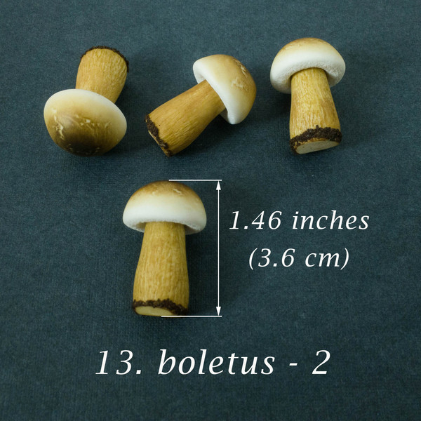 Miniature mushrooms handmade of polymer clay-2.jpg