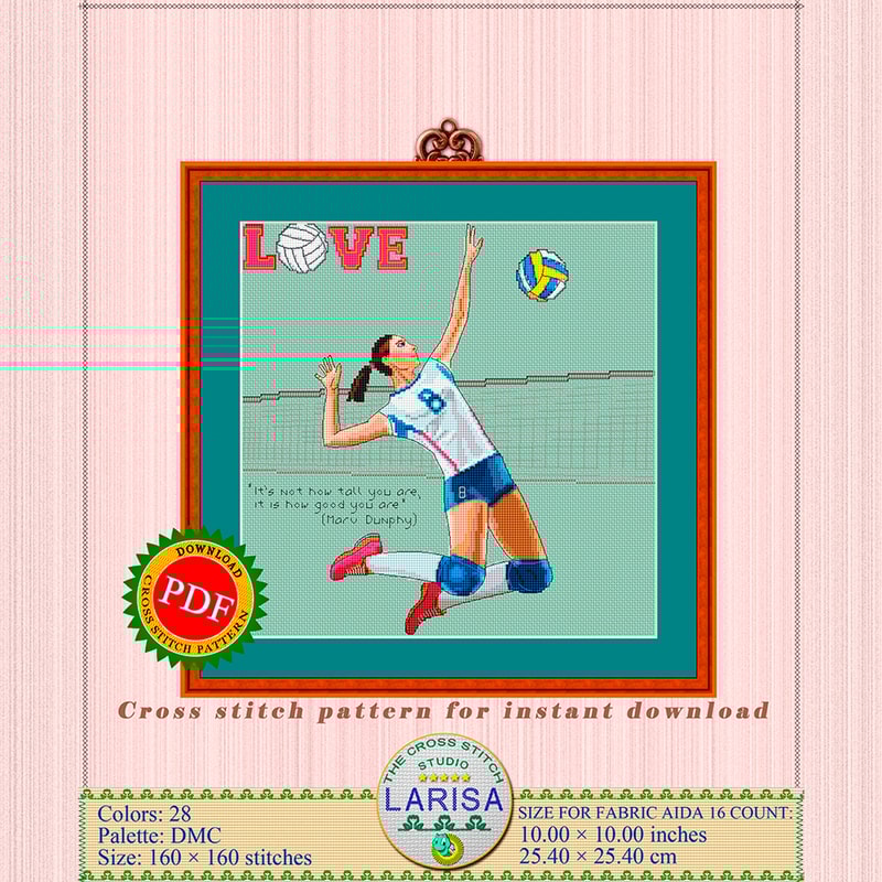 Volleyball player