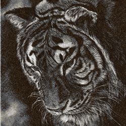 Tiger monochrome photo stitch  Embroidery Design   DIGITAL EMBROIDERY