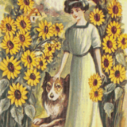 PDF Counted Vintage Cross Stitch Pattern | Girl with a Dog 1907 | Sunflowers | 6 Sizes