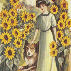 pdf counted vintage cross stitch pattern | girl with a dog 1907 | sunflowers | 6 sizes