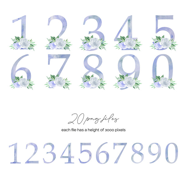 numbers_blue2.jpg