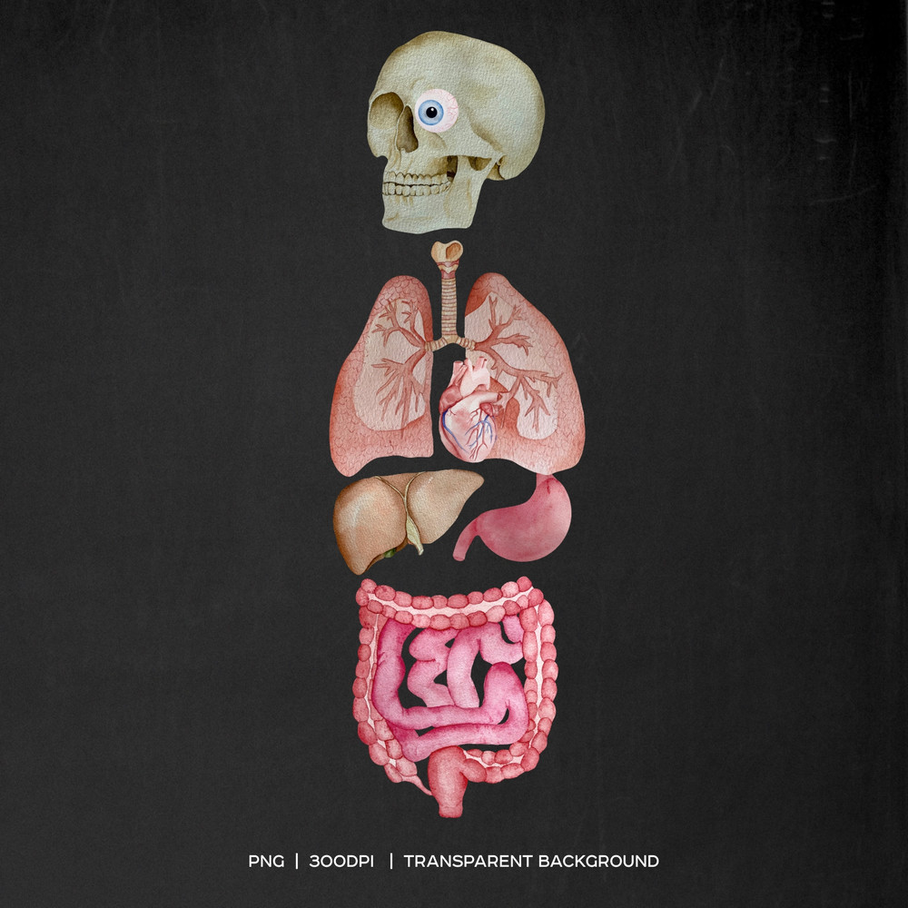 body3.jpg