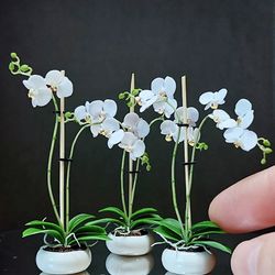 Miniature Orchid for Dollhouse 1:12, Dollhouse Flowers, Dollhouse Plants, Miniature Plants 1:12, Dollhouse Orchid