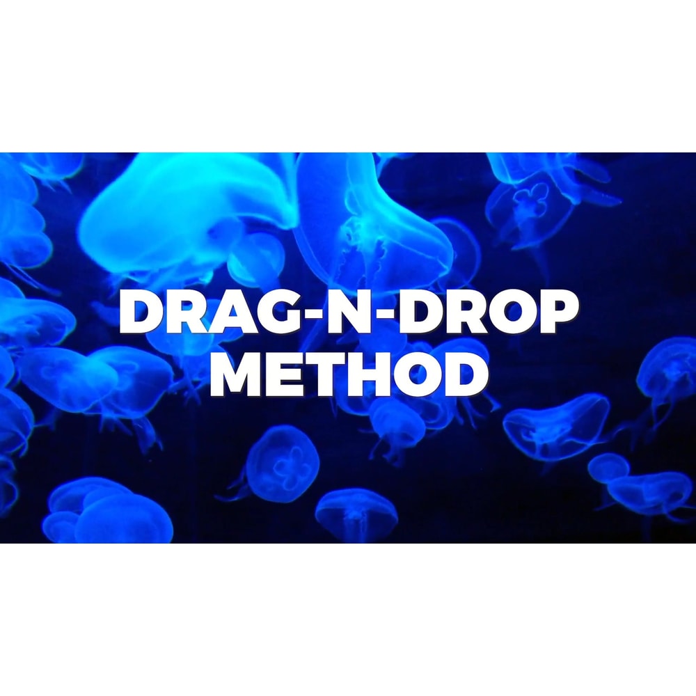 Seamless Transitions 5.0 (2).jpg