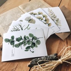 Set of 6 botanical postcards TRANSPARENT PLANTS