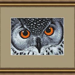 Owl photo stitch 8x12  Embroidery Design
