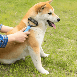 Dematting Tool For Dogs & Cats