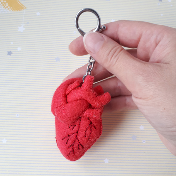 Human heart pattern, felt or plush heart anatomy.jpg