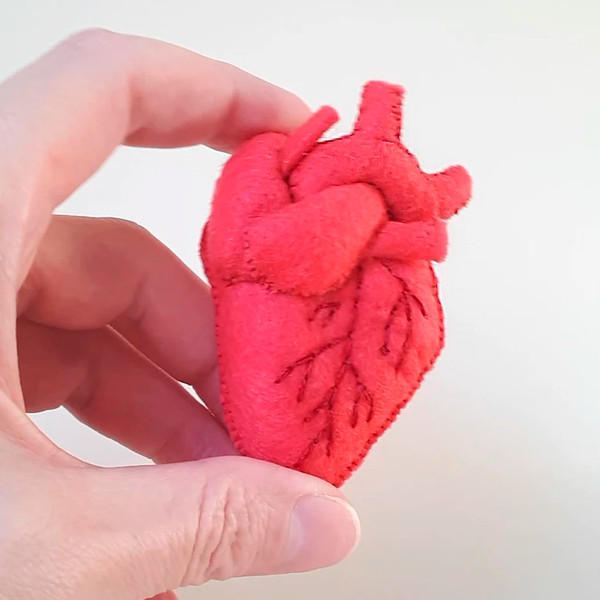 Human heart sewing pattern, felt heart anatomy.png