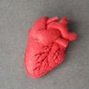 Red Human heart pattern, anatomy heart.jpg