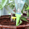 plantwateringspikes3 (1).png