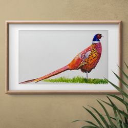 Pheasant Painting - Pheasant Art - Hand Signed Limited Edition Pheasant original watercolor painting