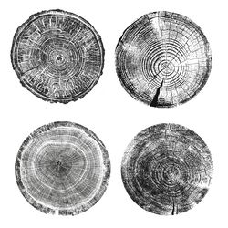 set of 4 prints, tree rings print, black and white tree print, printable pine tree, anniversary gift, 8x10, wood prints