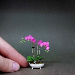 Orchid miniature Dollhouse 1:12, Dollhouse Orchid in a Pot, Miniature Fuchsia Orchid in a white pot,Orchid 1:12 in a pot