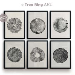 tree ring art print, tree ring print, set of 6 prints, log print tree print, printable pine tree, anniversary gift, wood