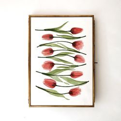 Watercolor print Tulips, transparent plants illustration