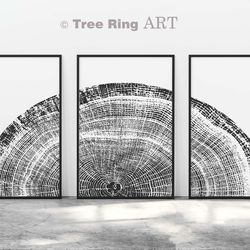 tree ring print, set of 3 prints, tree stump print, black and white prints,modern wall decor,tree rings print,wood slice