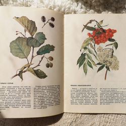 Vintage botanical handbook, medicinal plants guide, healing herbs book, flower prints, 1991