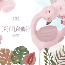 Watercolor pink flamingo clipart PNG and seamless pattern