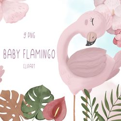 watercolor pink flamingo clipart png and seamless pattern