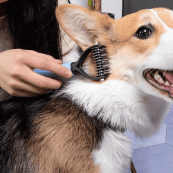 dematting comb for dogs