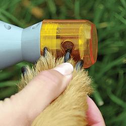 Electric Pet Nail Clippers