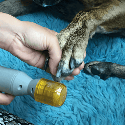 electric pet nail clippers