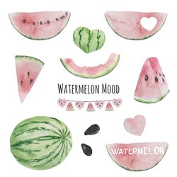 watercolor watermelon summer clipart, summer fruit clip art