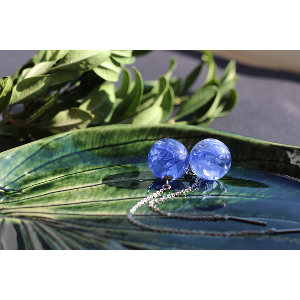 Blue cornflower earrings 6.JPG