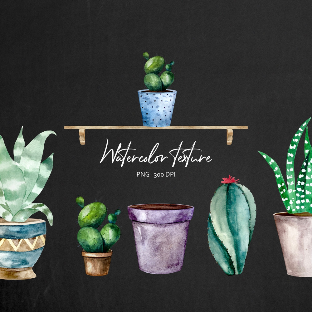 cacti6.jpg