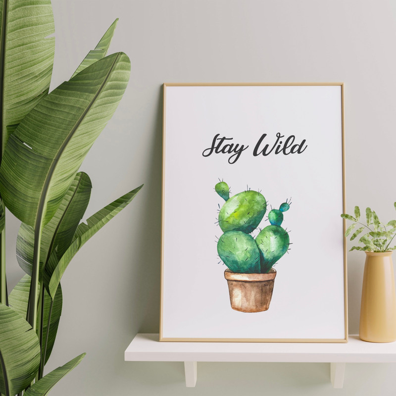 cacti7.jpg