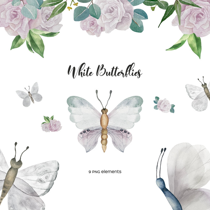 butterfly_white1.jpg