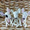 crochet-bull-terrier-pattern-8